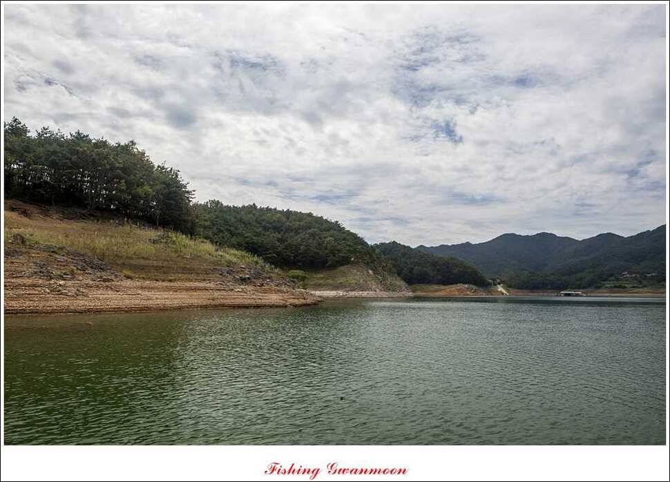 문골돌감실리곡화곡지 조황 (조황조행기 - 특파원조황)