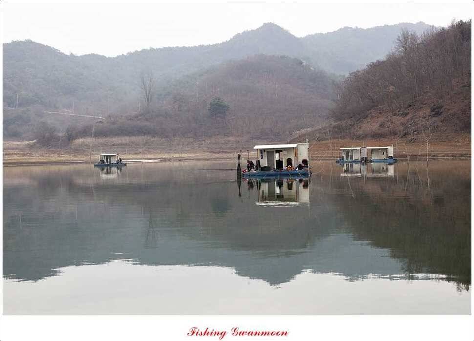 짱가네 415 cm제일 37 cm신매병호돌감한버들 월척 조황 (조황조행기 - 특파원조황)
