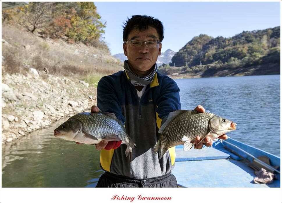 제일 36 cm 월척실리곡 마릿수 월척돌감한버들 월척 (조황조행기 - 특파원조황)