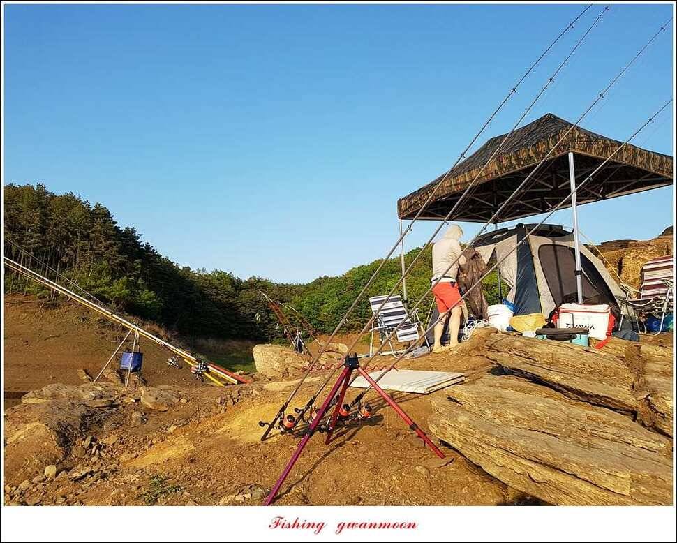 늘푸른돌감화곡지 월척 조황 (조황조행기 - 특파원조황)