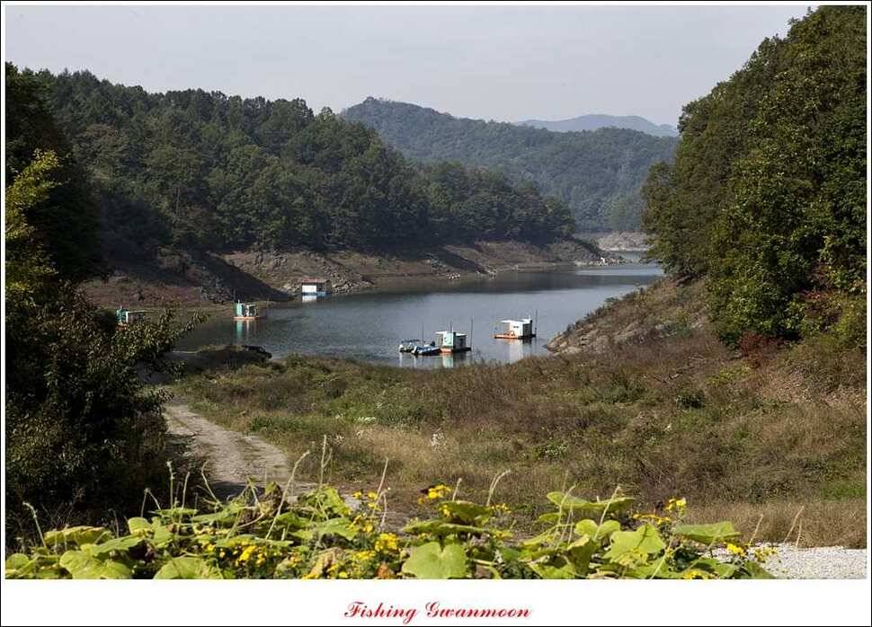 늘푸른 키로장어한버들실리곡짱가네 조황 소식 (조황조행기 - 특파원조황)