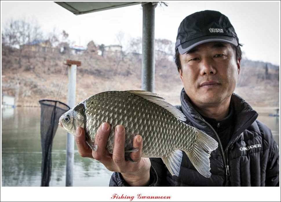 짱가네 415 cm제일 37 cm신매병호돌감한버들 월척 조황 (조황조행기 - 특파원조황)