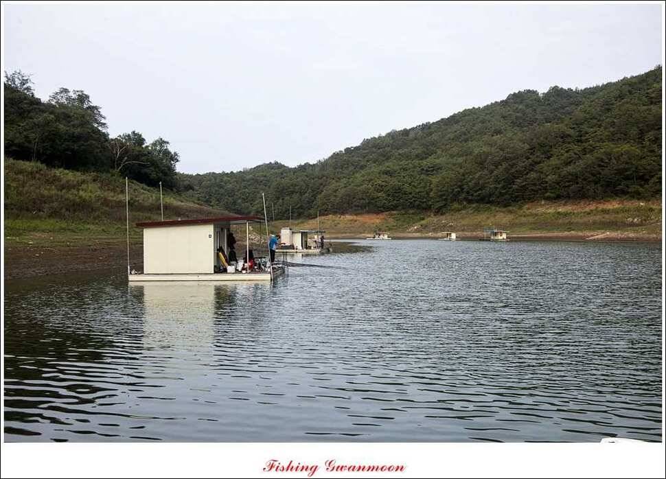 실리곡한버들달천강 조황 (조황조행기 - 특파원조황)