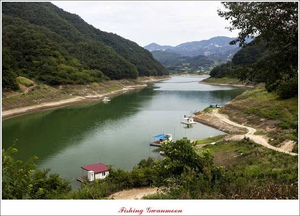 문골돌감실리곡화곡지 조황 (조황조행기 - 특파원조황)