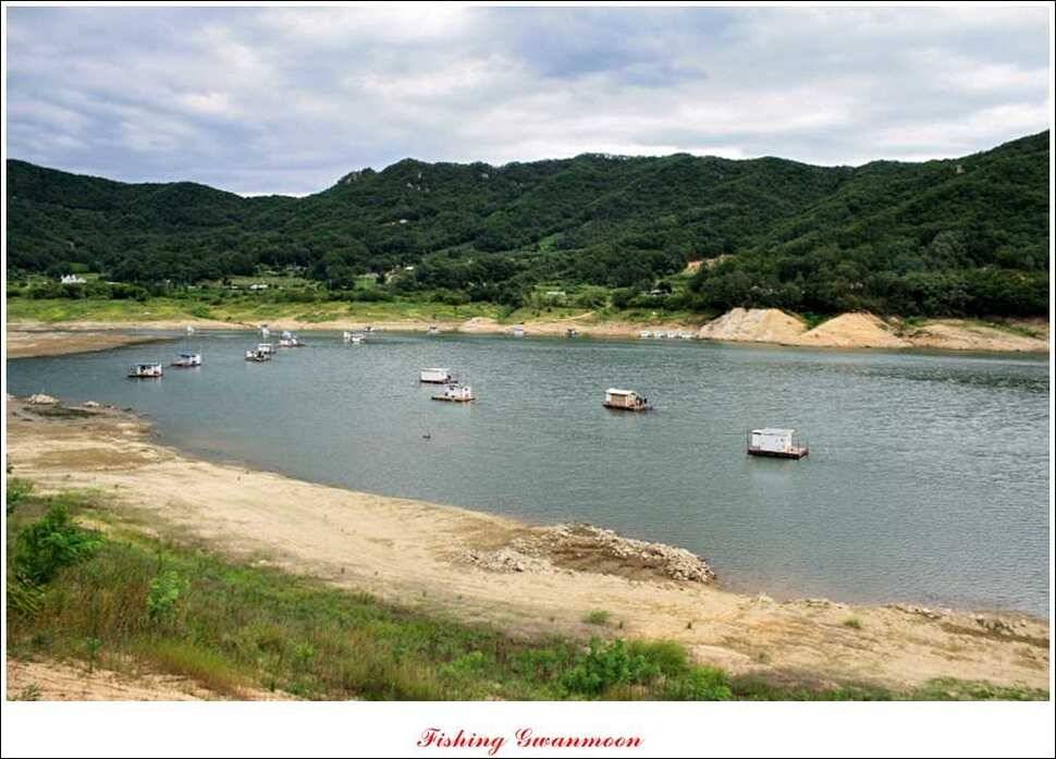 솔 낚시터 충주호 노지 조황 (조황조행기 - 특파원조황)