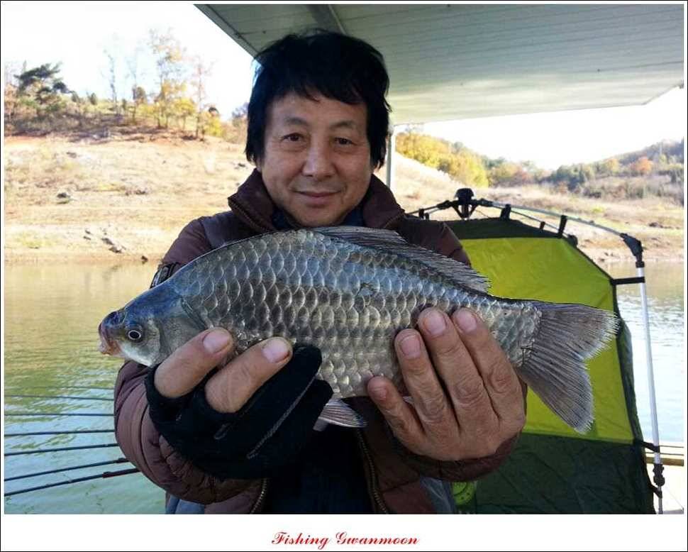 제일 36 cm 월척실리곡 마릿수 월척돌감한버들 월척 (조황조행기 - 특파원조황)