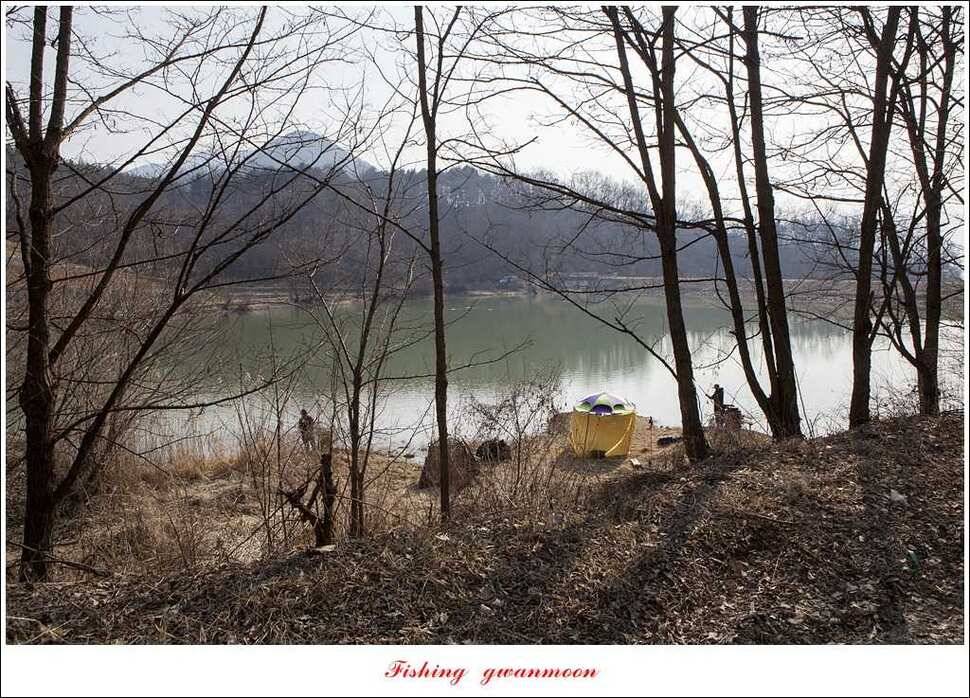 충주괴산권 조황 (조황조행기 - 특파원조황)