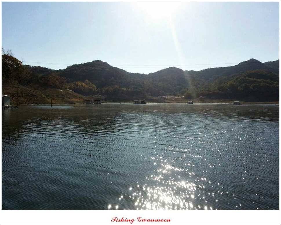 제일 36 cm 월척실리곡 마릿수 월척돌감한버들 월척 (조황조행기 - 특파원조황)