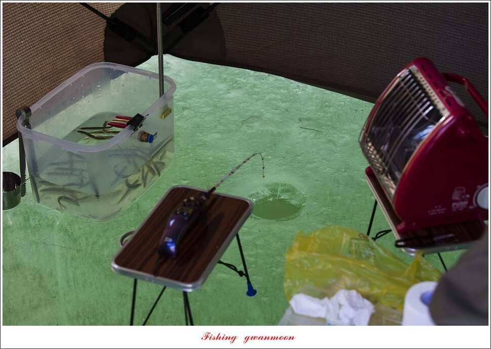 충주호 물낚시와 빙어 낚시 조황 (조황조행기 - 특파원조황)