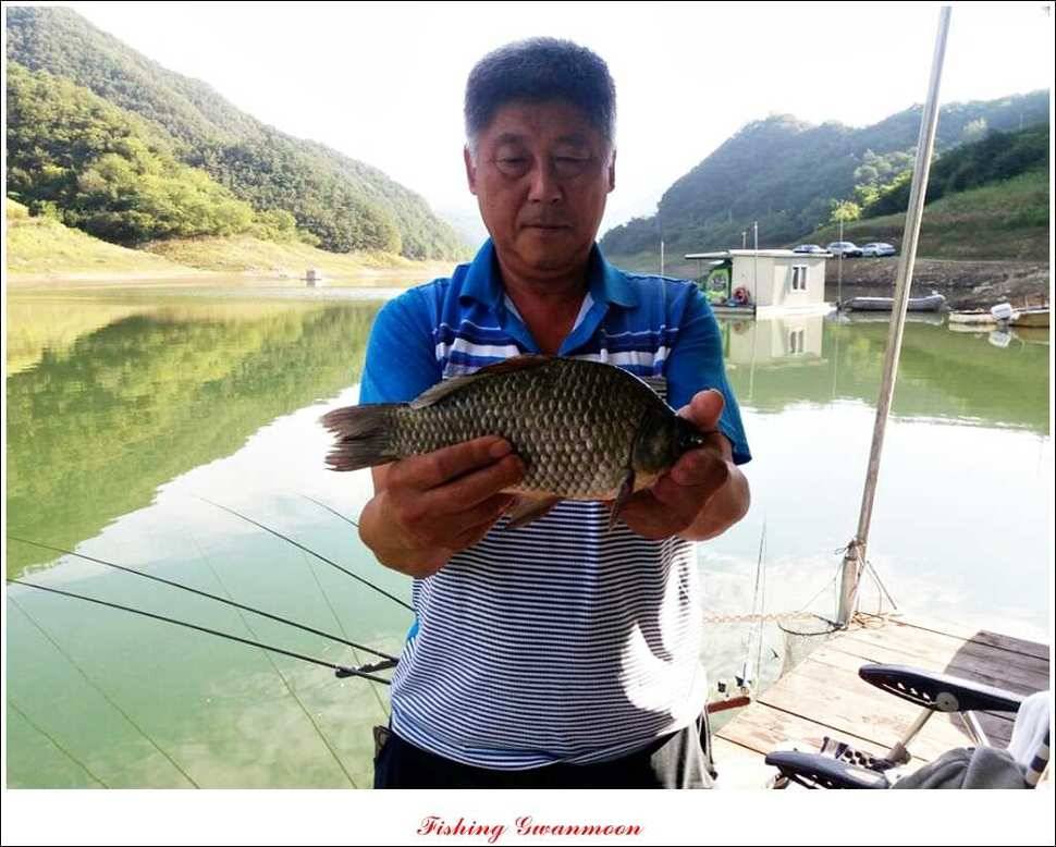 문골돌감실리곡화곡지 조황 (조황조행기 - 특파원조황)