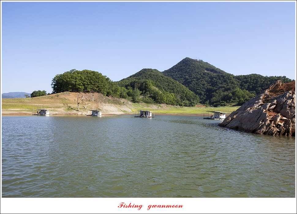 한버들 42 cm돌감 월척 조황 (조황조행기 - 특파원조황)