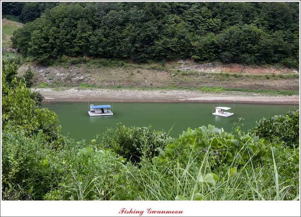 문골돌감실리곡화곡지 조황 (조황조행기 - 특파원조황)