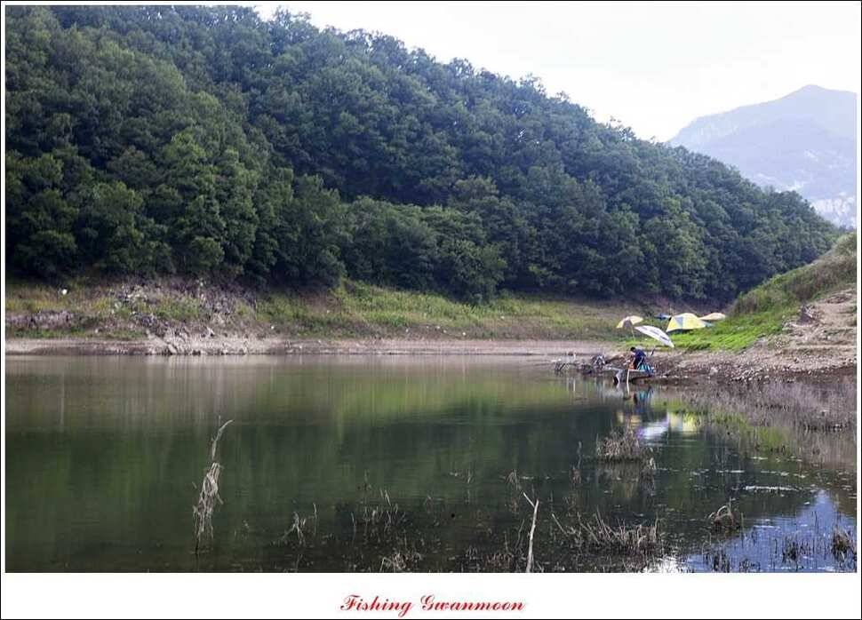 문골돌감실리곡화곡지 조황 (조황조행기 - 특파원조황)