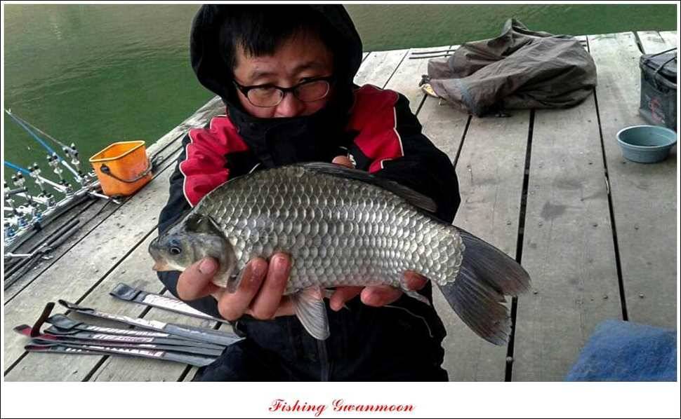 제일 36 cm 월척실리곡 마릿수 월척돌감한버들 월척 (조황조행기 - 특파원조황)