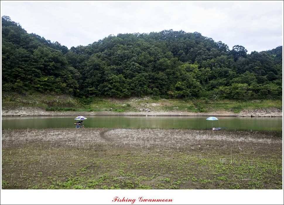 문골돌감실리곡화곡지 조황 (조황조행기 - 특파원조황)