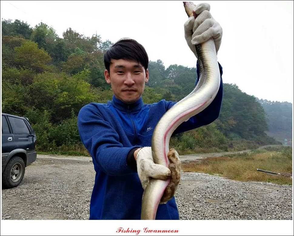 늘푸른 키로장어한버들실리곡짱가네 조황 소식 (조황조행기 - 특파원조황)