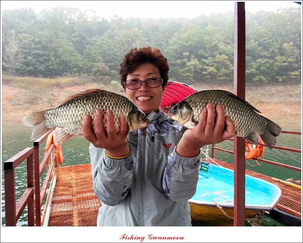 실리곡돌감병호 조황 (조황조행기 - 특파원조황)