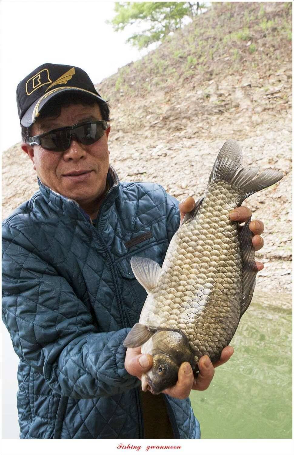 한버들 42 cm40 cm사짜 대물 (조황조행기 - 특파원조황)