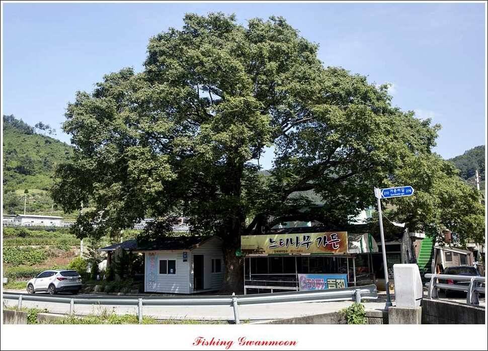 명서 사짜추평지 사짜 (조황조행기 - 특파원조황)