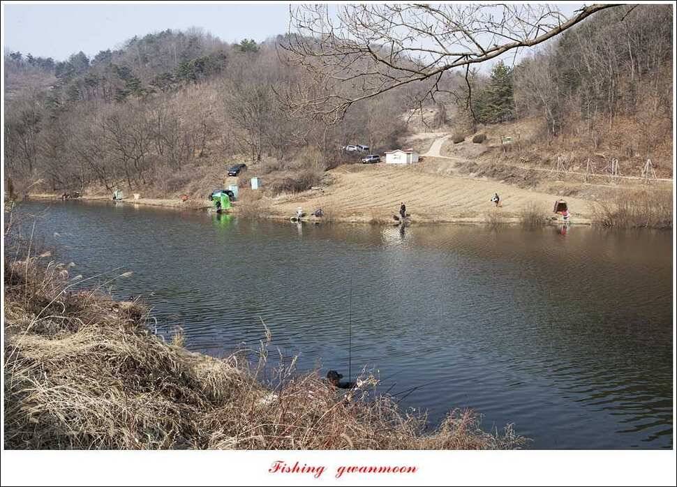 충주괴산권 조황 (조황조행기 - 특파원조황)