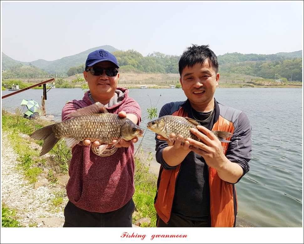 한버들 45 cm실리곡 마릿수 월척매전지화곡지괴강 월척 (조황조행기 - 특파원조황)