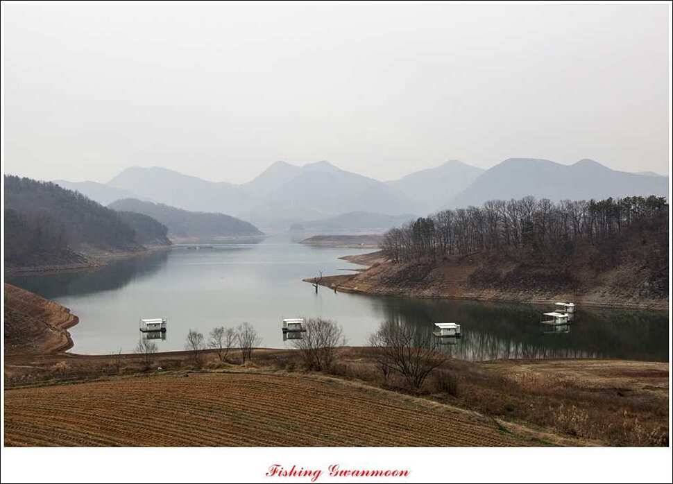 짱가네 415 cm제일 37 cm신매병호돌감한버들 월척 조황 (조황조행기 - 특파원조황)