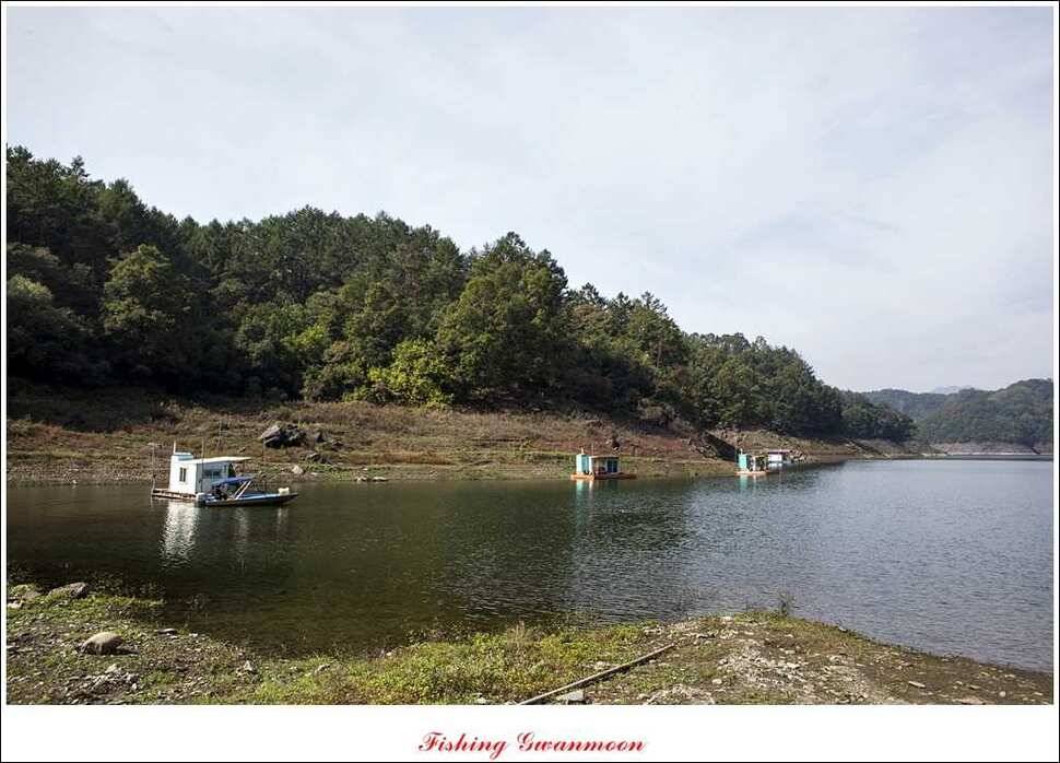 늘푸른 키로장어한버들실리곡짱가네 조황 소식 (조황조행기 - 특파원조황)