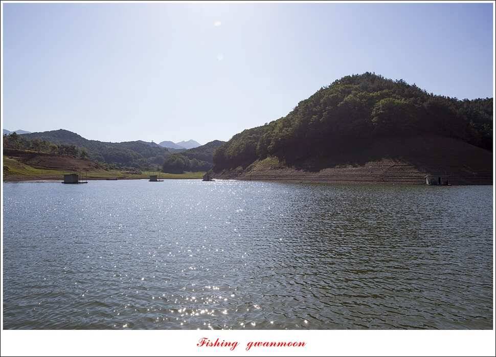 한버들 42 cm돌감 월척 조황 (조황조행기 - 특파원조황)