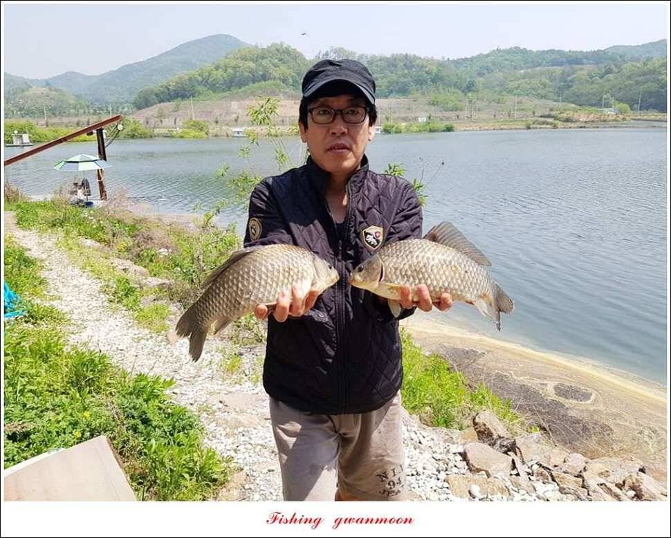 한버들 45 cm실리곡 마릿수 월척매전지화곡지괴강 월척 (조황조행기 - 특파원조황)