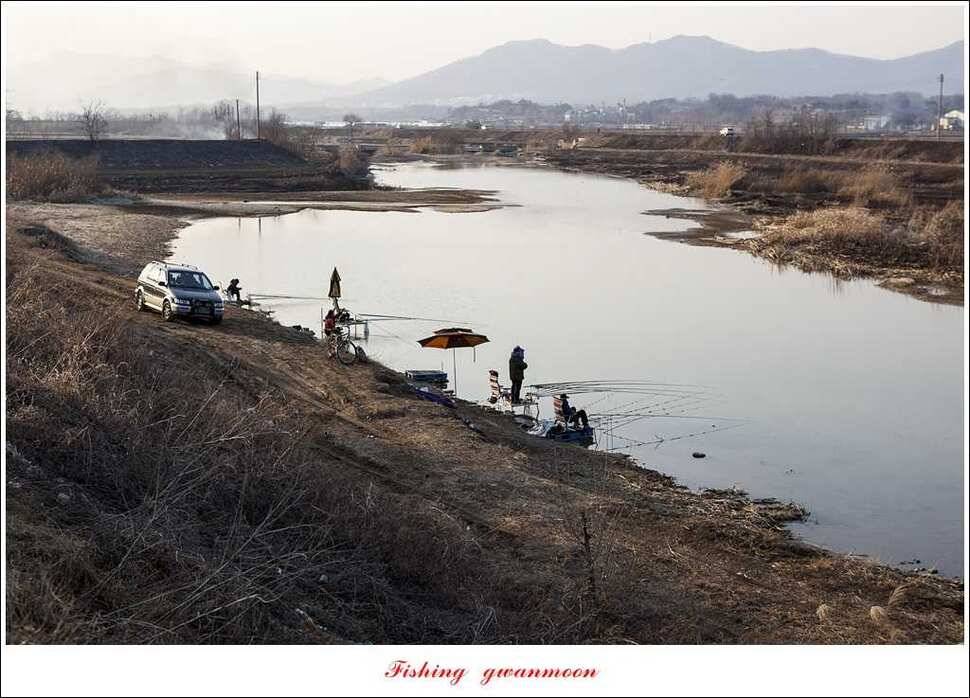 충주괴산권 조황 (조황조행기 - 특파원조황)