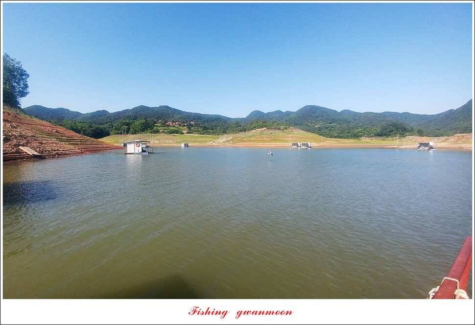 한버들 42 cm돌감 월척 조황 (조황조행기 - 특파원조황)