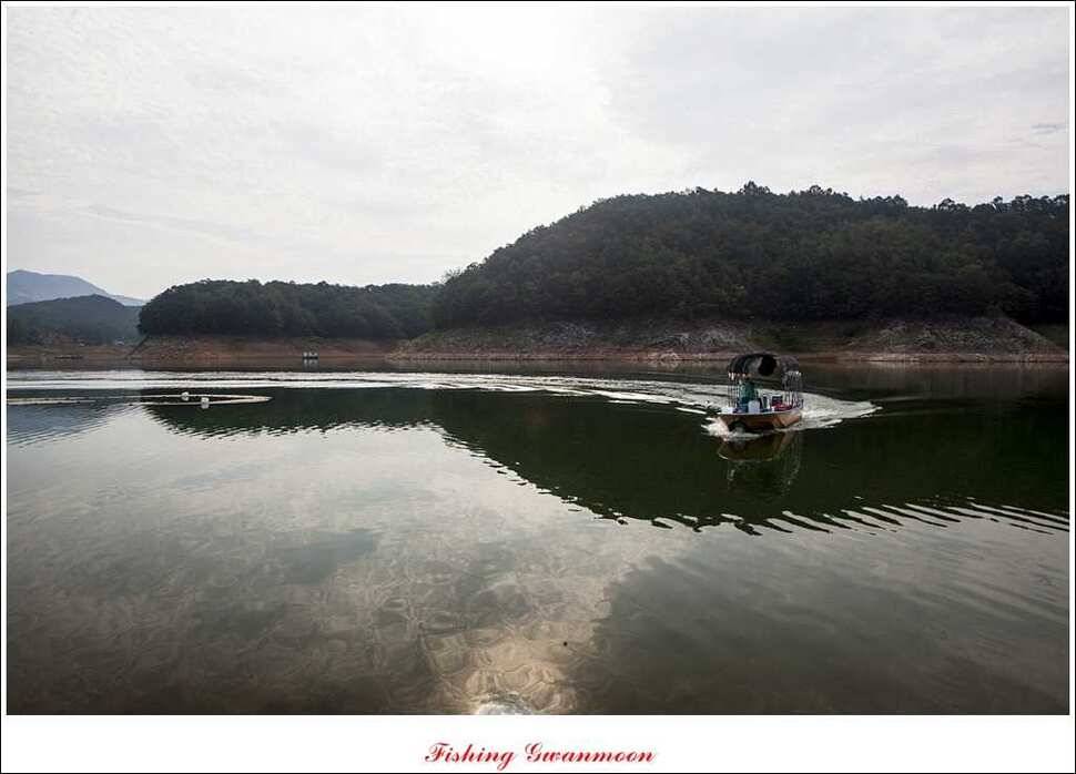 실리곡한버들달천강 조황 (조황조행기 - 특파원조황)
