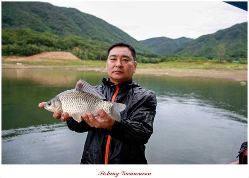 솔 낚시터 충주호 노지 조황 (조황조행기 - 특파원조황)