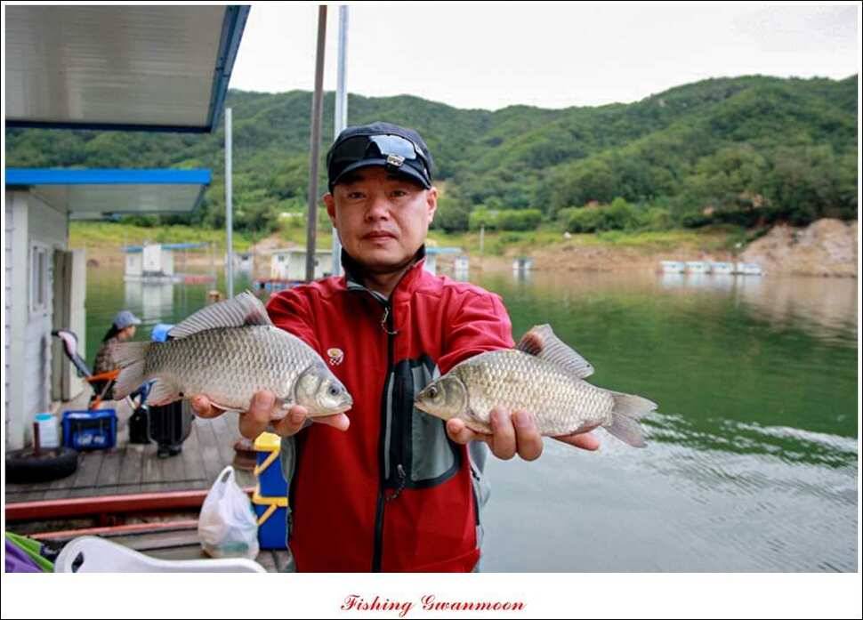 솔 낚시터 충주호 노지 조황 (조황조행기 - 특파원조황)