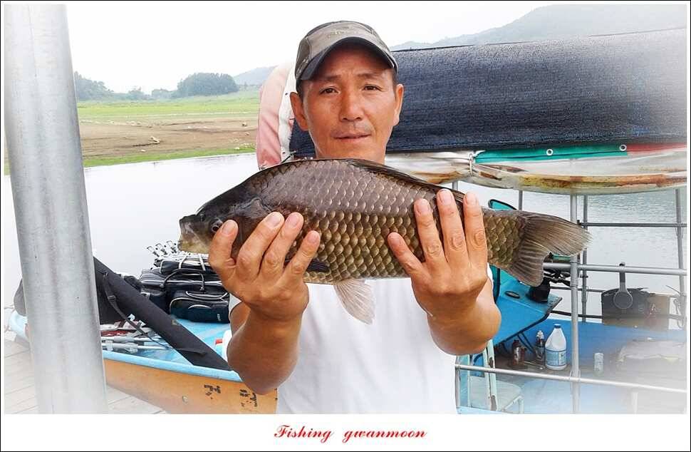 한버들 445 cm39 cm돌감실리곡 월척 조황 (조황조행기 - 특파원조황)