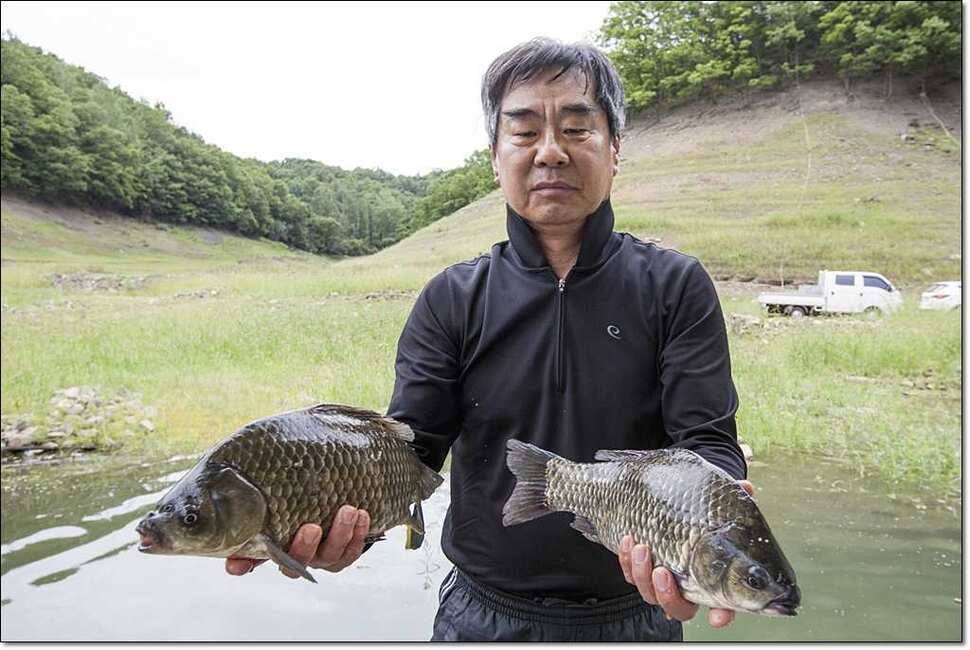 신매 435cm37cm병호 월척 대박 (조황조행기 - 특파원조황)