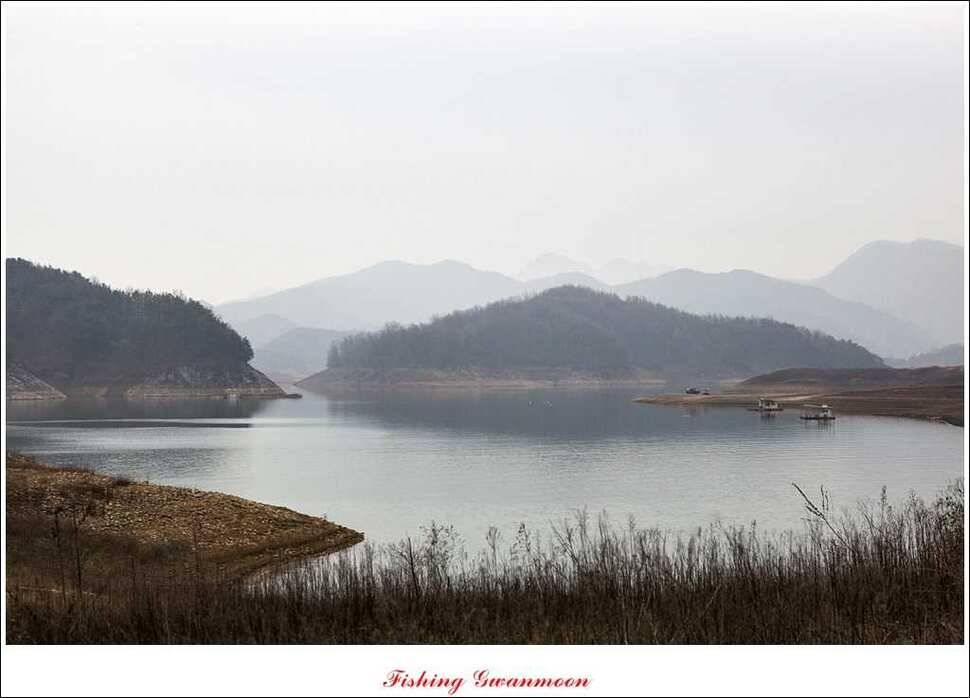 짱가네 415 cm제일 37 cm신매병호돌감한버들 월척 조황 (조황조행기 - 특파원조황)