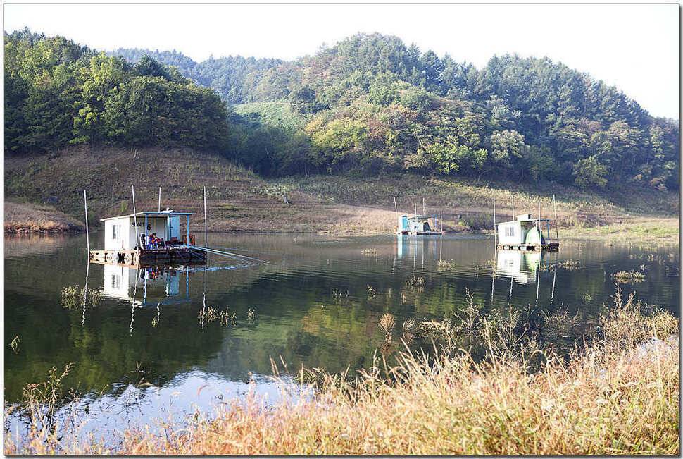 신매 월척소류지 월척 (조황조행기 - 특파원조황)