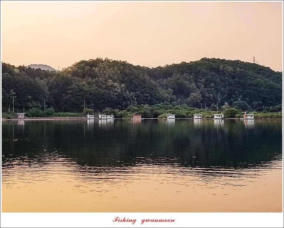 한버들 월척화곡지 마릿수 월척 조황 (조황조행기 - 특파원조황)