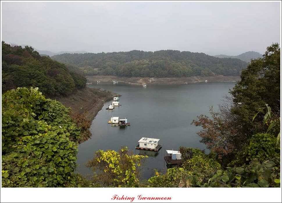 실리곡돌감병호 조황 (조황조행기 - 특파원조황)