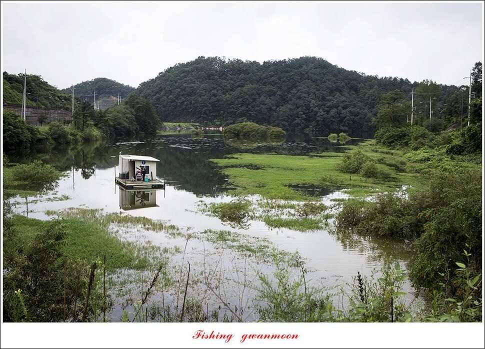 늘푸른 사짜화곡지실리곡소류지 사짜 조황 (조황조행기 - 특파원조황)