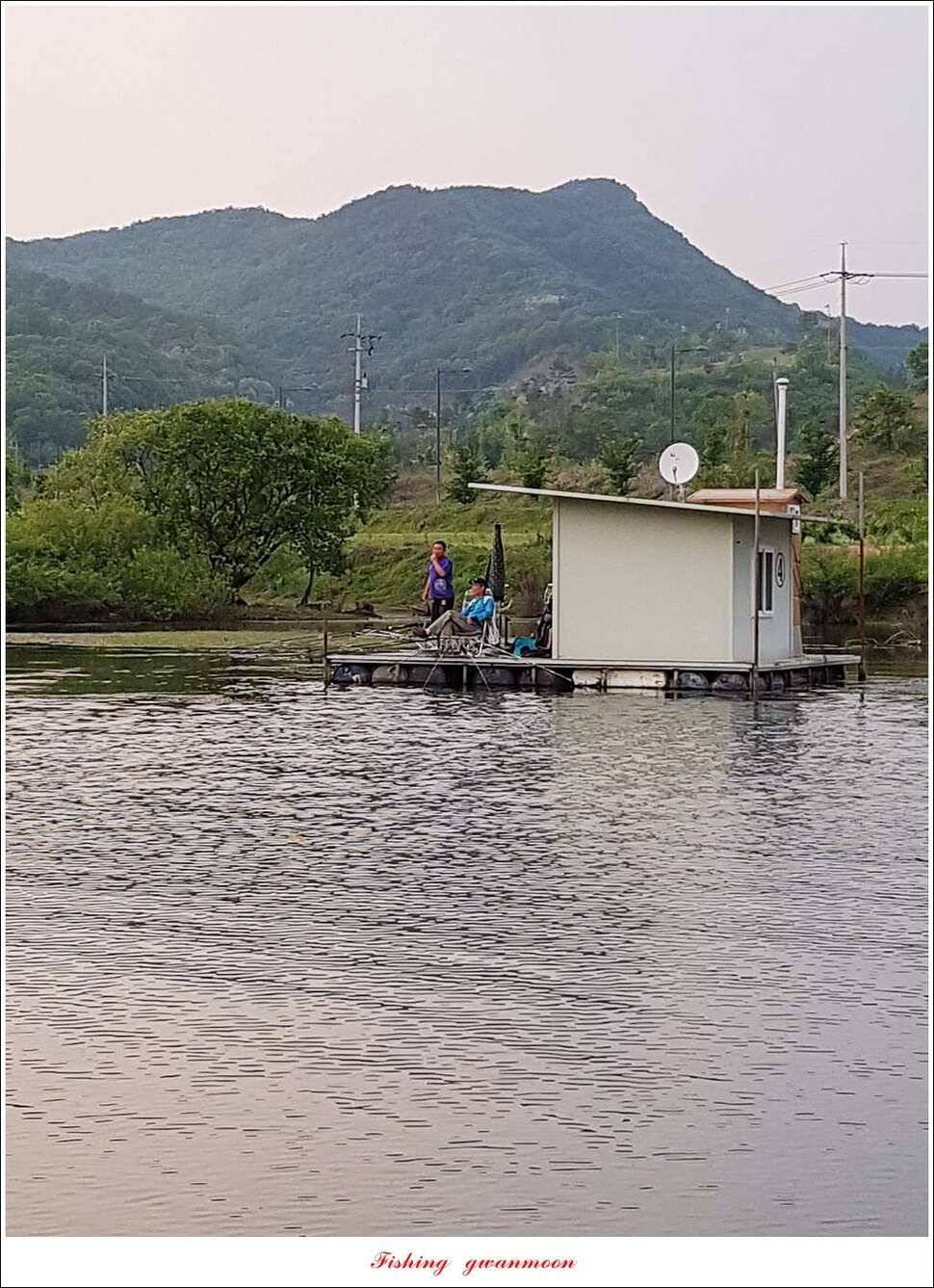 한버들 월척화곡지 마릿수 월척 조황 (조황조행기 - 특파원조황)