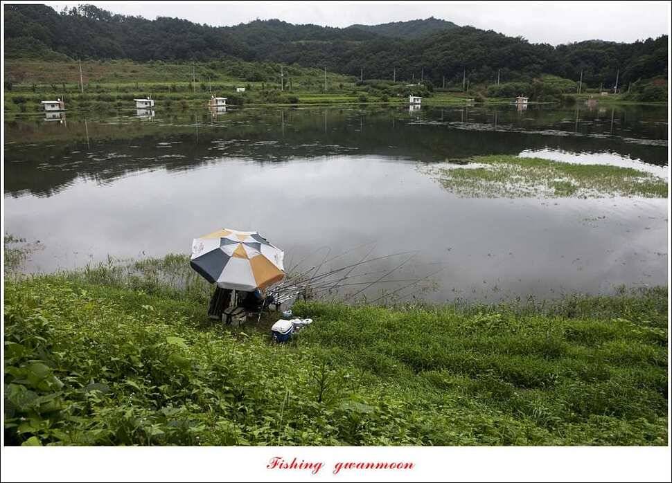 늘푸른 사짜화곡지실리곡소류지 사짜 조황 (조황조행기 - 특파원조황)