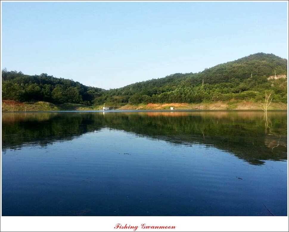 충주호 주말 조황 (조황조행기 - 특파원조황)