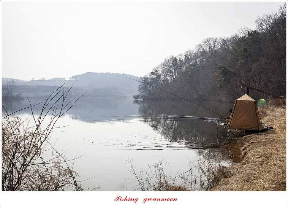 충주괴산권 조황 (조황조행기 - 특파원조황)