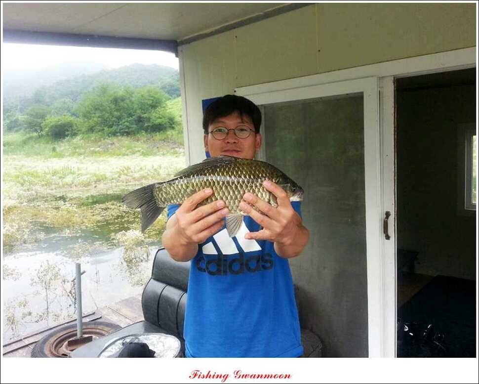 충주호 주말 조황 (조황조행기 - 특파원조황)
