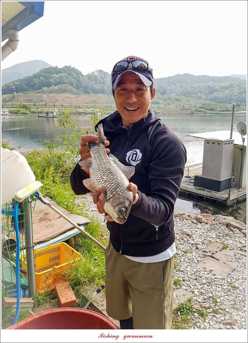 한버들 월척화곡지 마릿수 월척 조황 (조황조행기 - 특파원조황)
