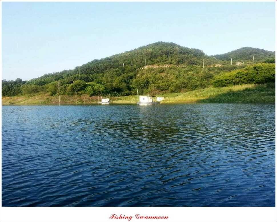 충주호 주말 조황 (조황조행기 - 특파원조황)