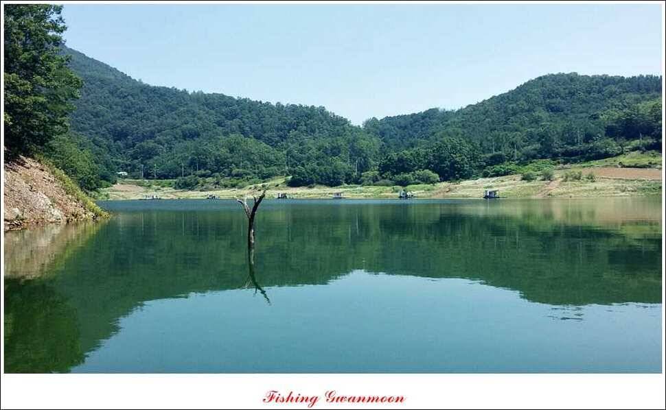 충주호 주말 조황 (조황조행기 - 특파원조황)