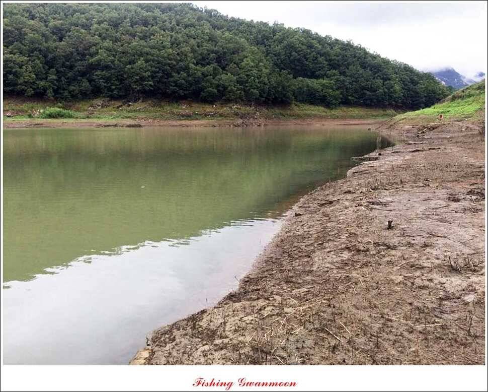 솔 낚시터 충주호 노지 조황 (조황조행기 - 특파원조황)